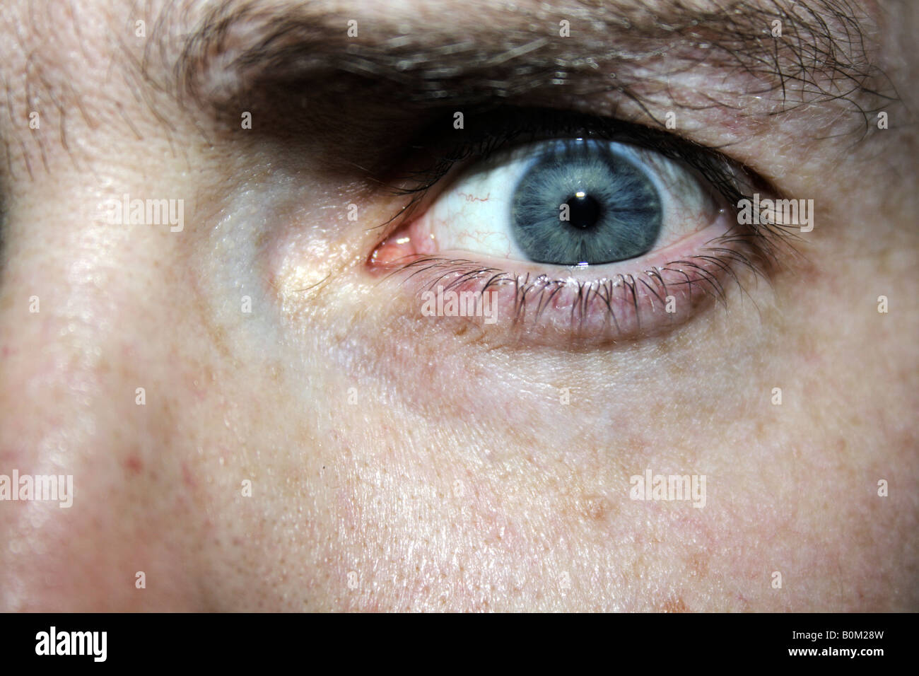 Closeup of blue eye of a white caucasian male. Stock Photo