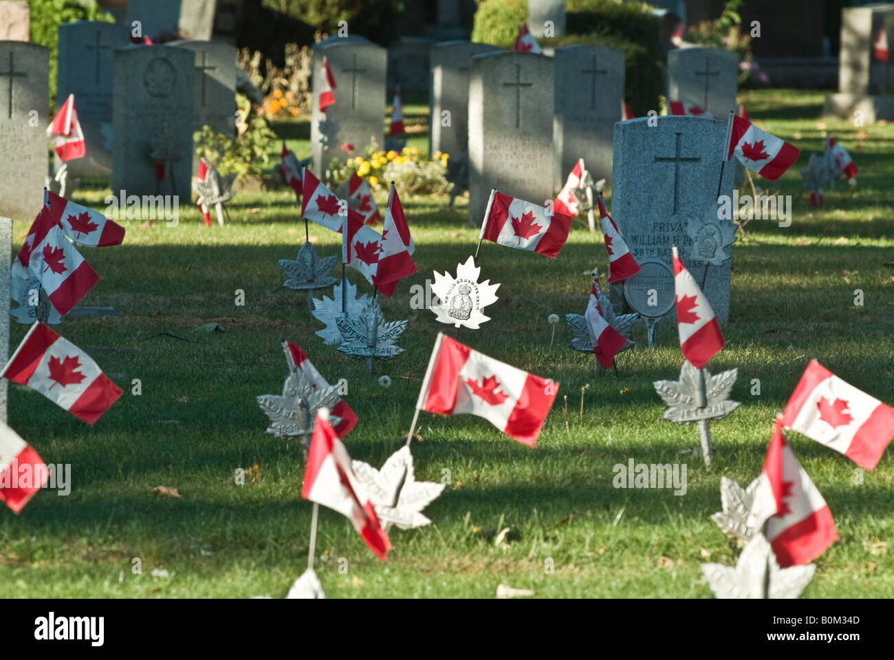Flags on Canadian war veteran graves flap gently in the breeze. Stock Photo