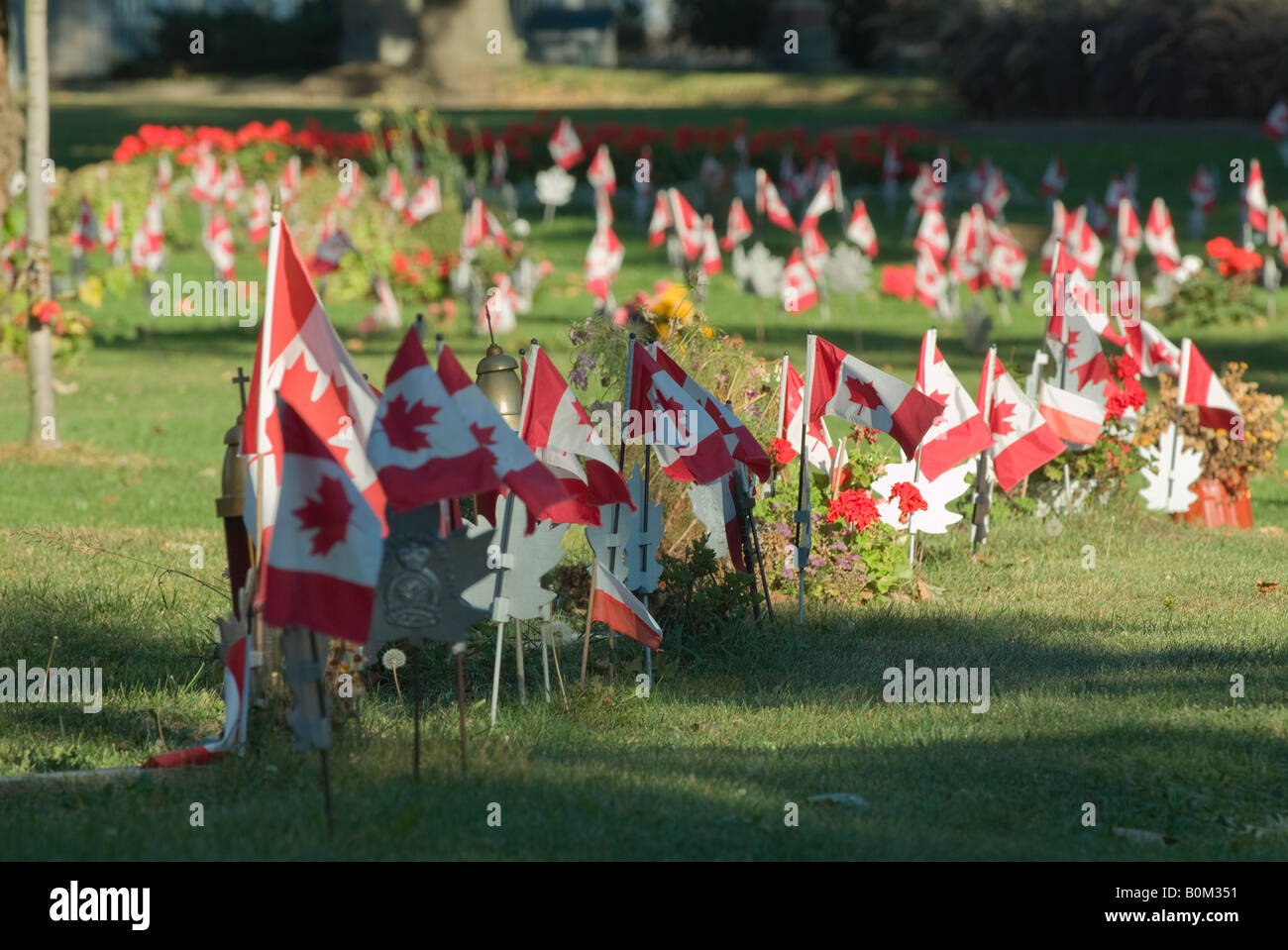 Flags on Canadian war veteran graves flap gently in the breeze. Stock Photo