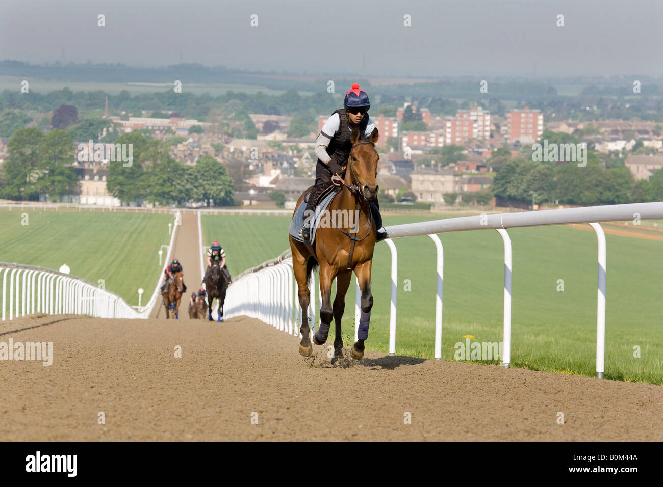 Racehorses and their jockeys ride up the heath, Newmarket Gallops, Newmarket, Suffolk, England Stock Photo