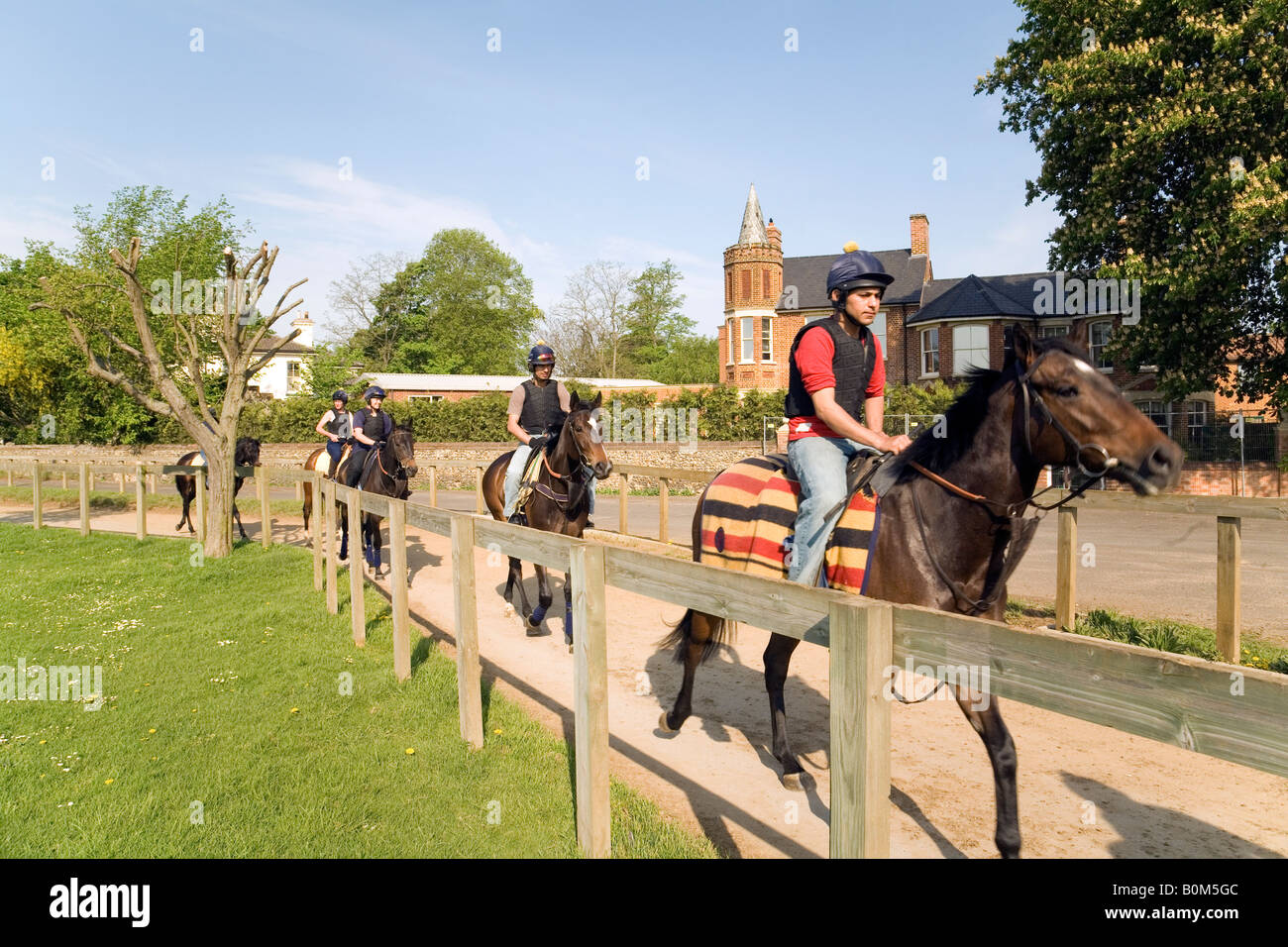 Horses and riders ride out past stables, The Severals, Newmarket