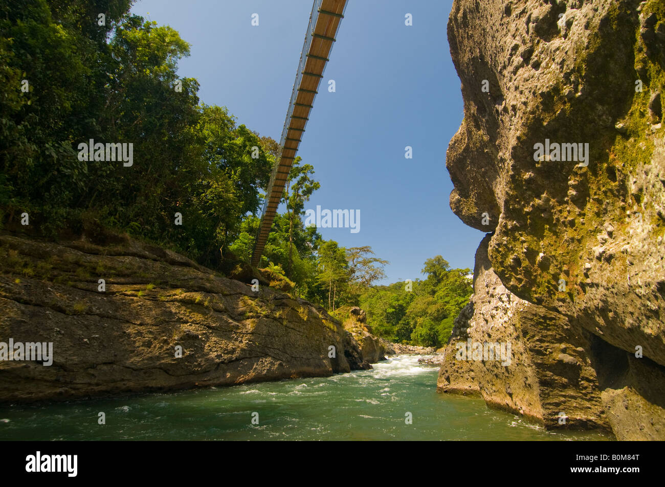 COSTA RICA Suspension bridge over the Lower Pacuare River Caribbean
