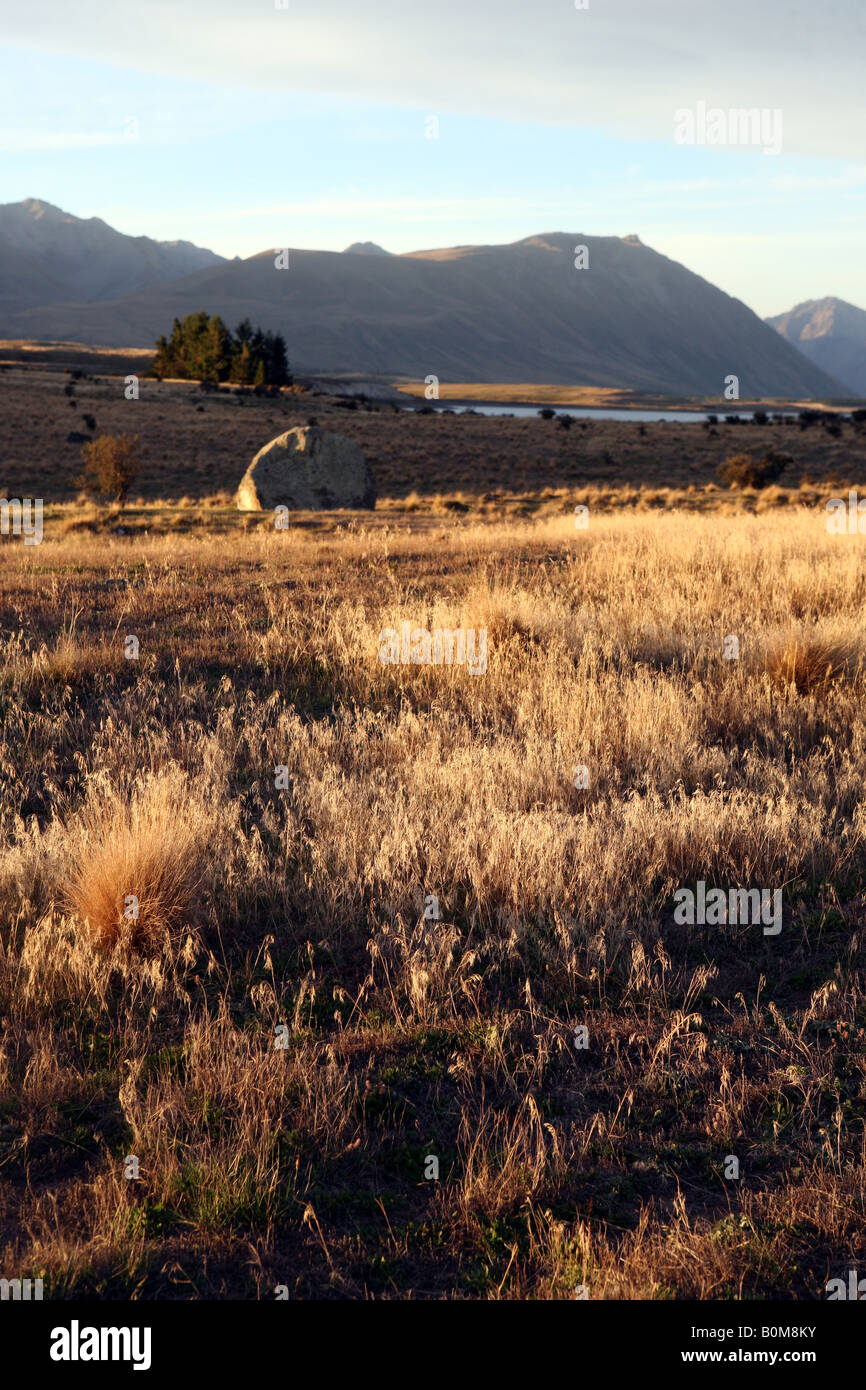 Sunset near Lake Tekapo South island New Zealand Stock Photo - Alamy