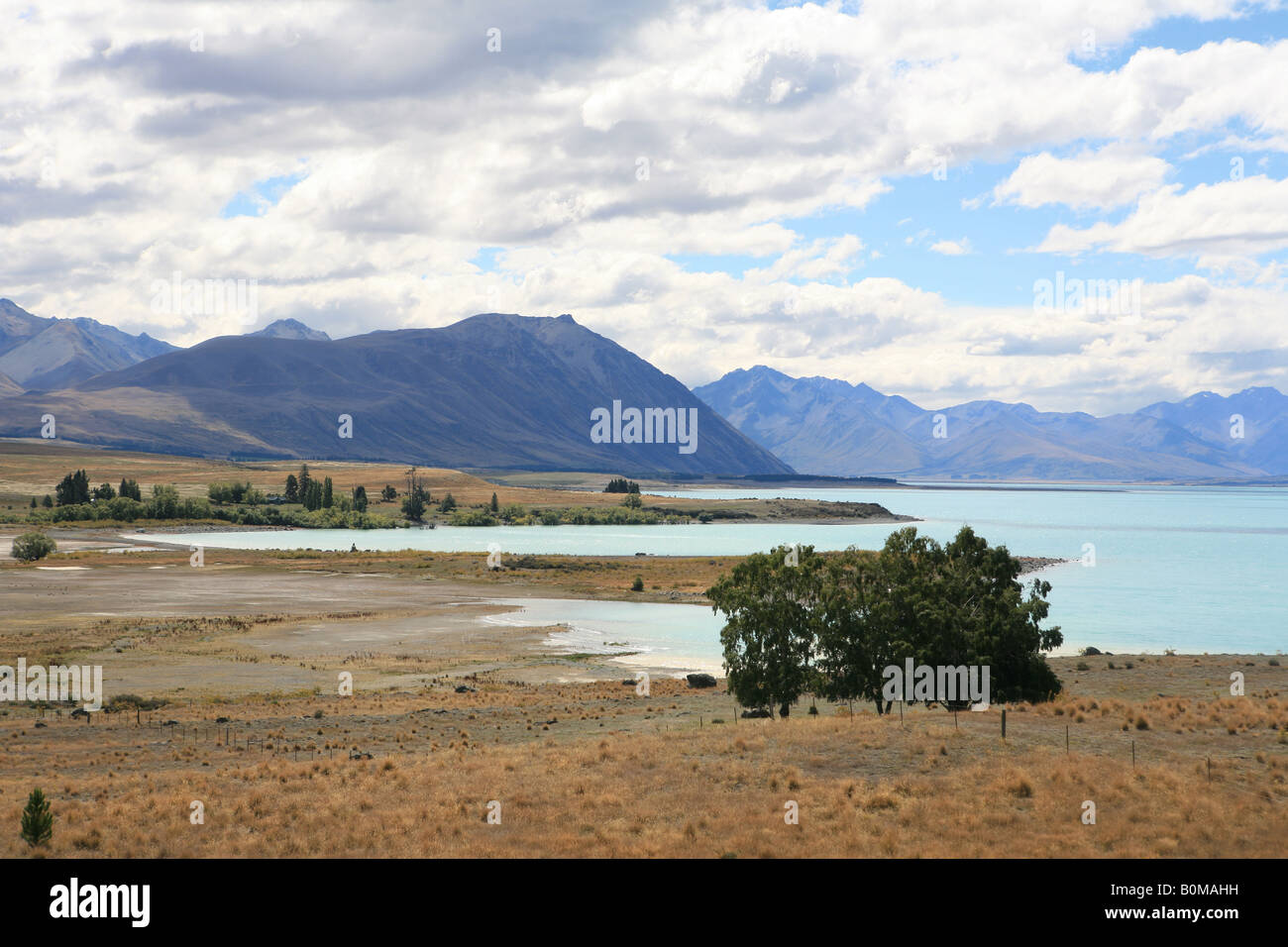 Lake Tekapo South island New Zealand Stock Photo - Alamy