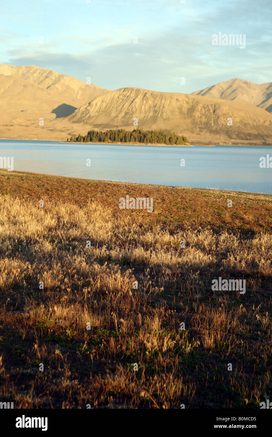 Sunset near Lake Tekapo South island New Zealand Stock Photo - Alamy