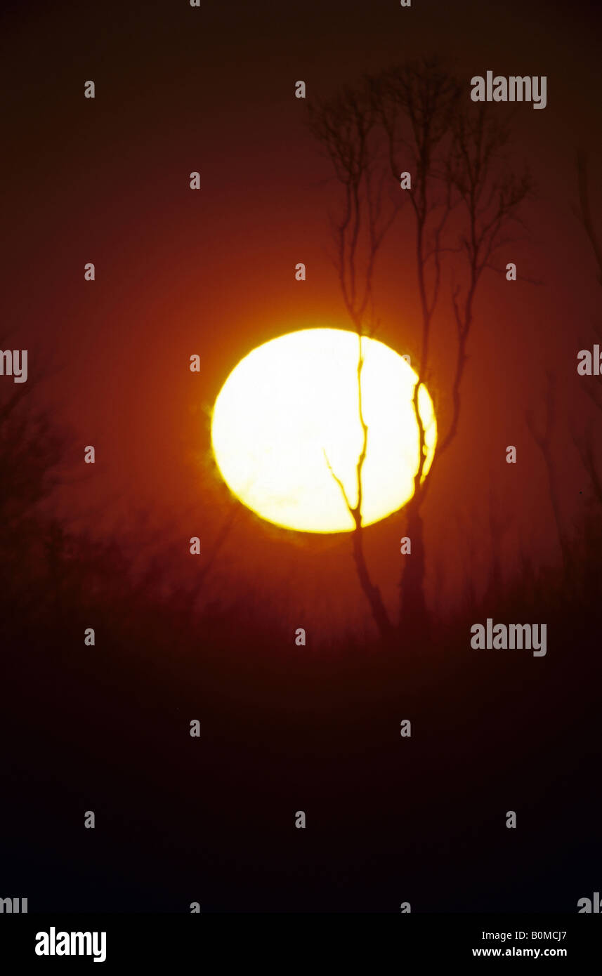 Golden sun disc hi-res stock photography and images - Alamy