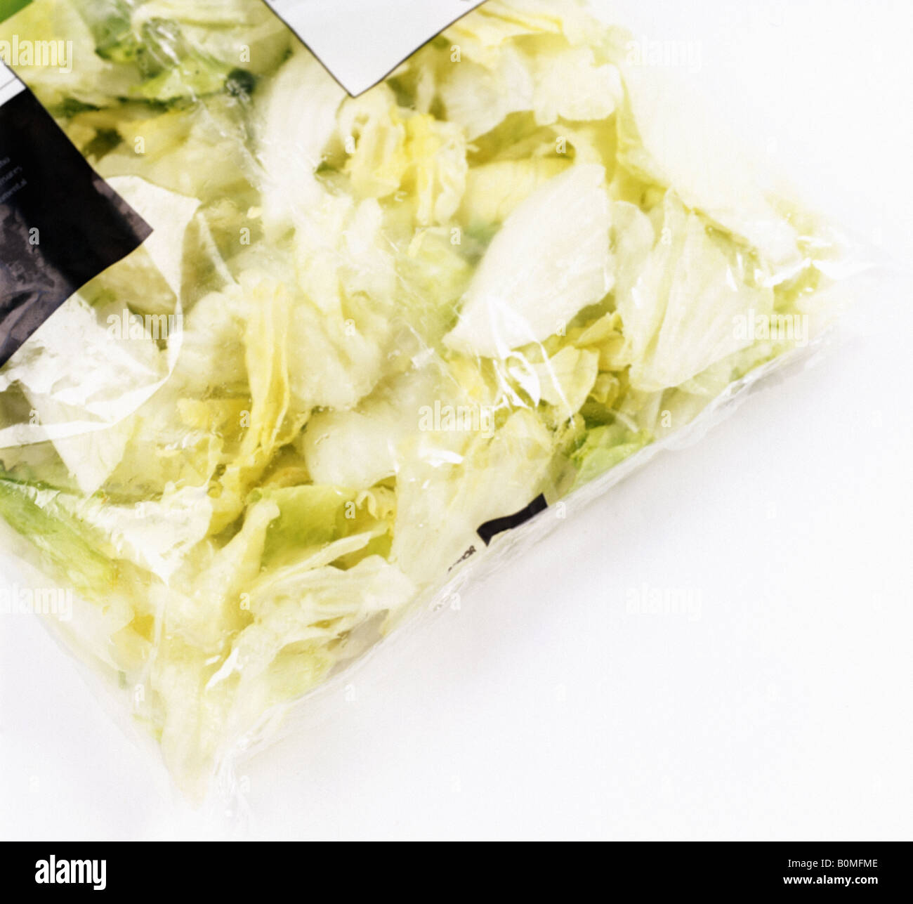 a pre packed bag of iceberg lettuce Stock Photo Alamy