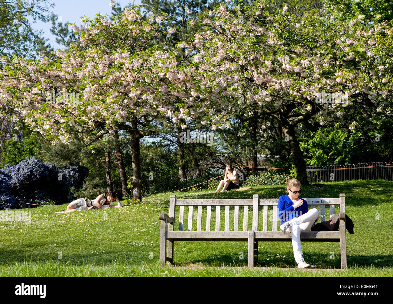 People Relaxing During Springtime In Hyde Park London UK Europe Stock Photo