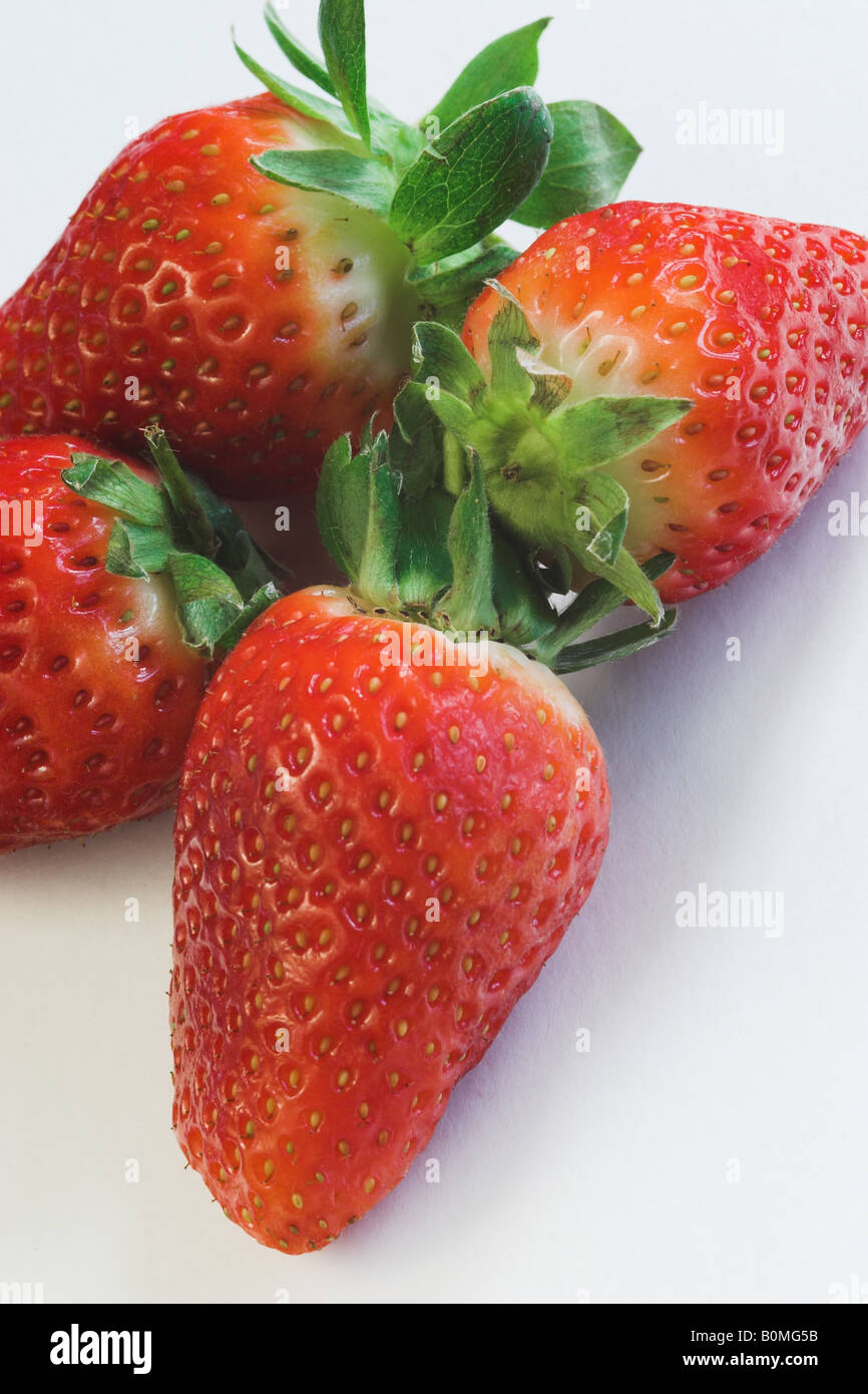 Close up of ripe Strawberries against a white background Stock Photo ...