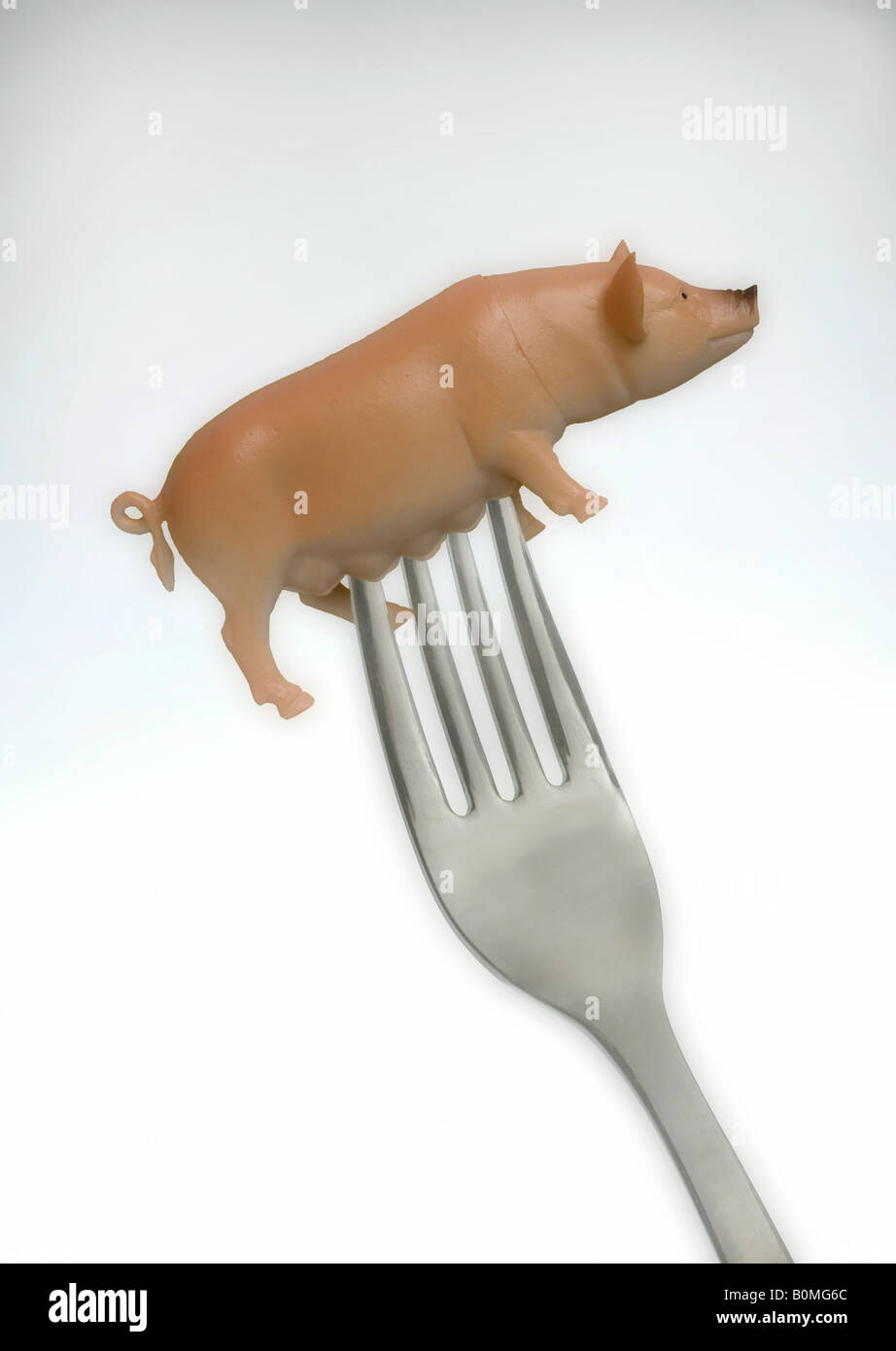 Plastic pig on a fork depicting the origin of meat. (Pork on a Fork !) Meat  identity, labeling, Food identification Stock Photo - Alamy