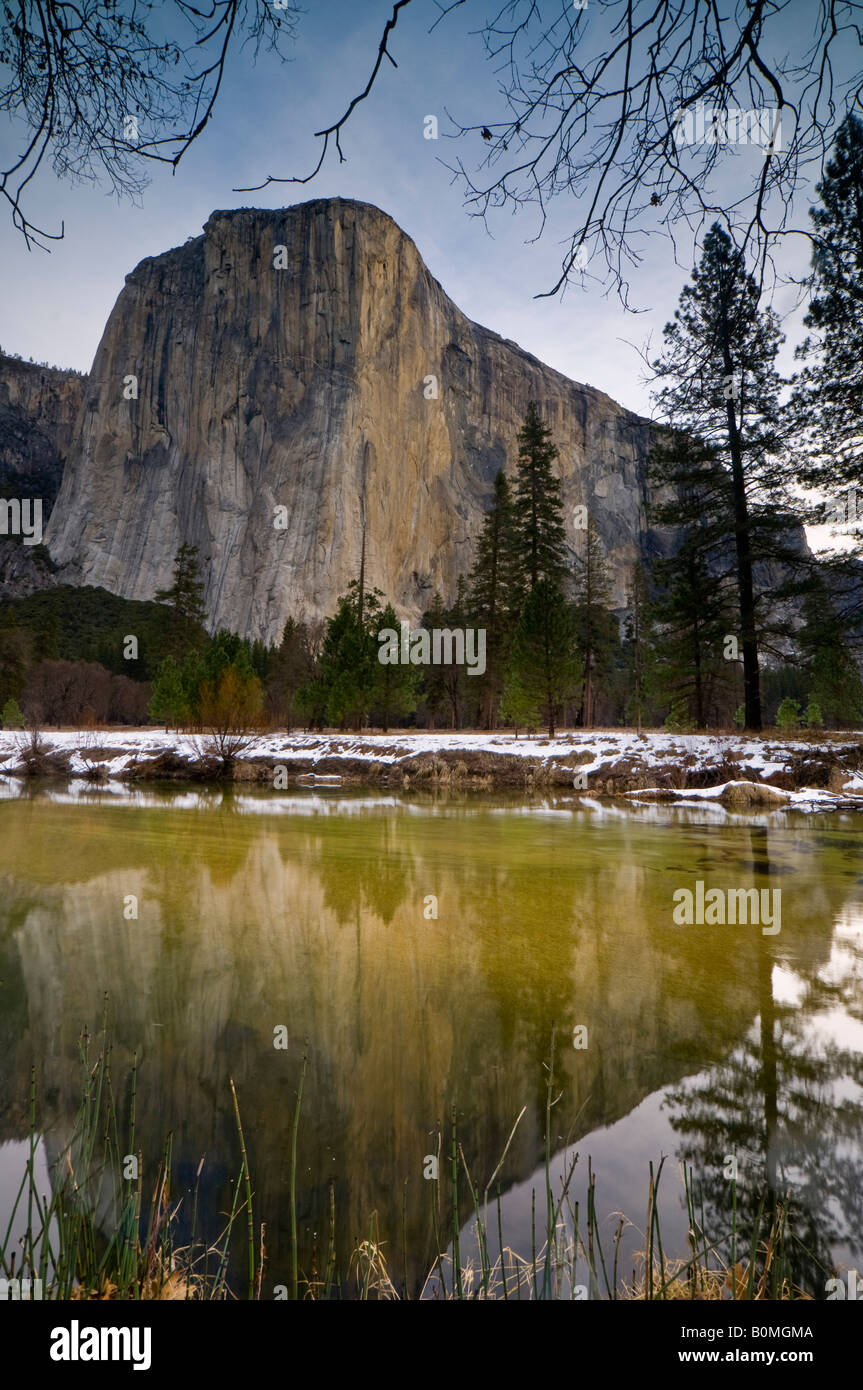 El Capitan reflected in the Merced River in Spring Yosemite Valley Yosemite National Park California Stock Photo