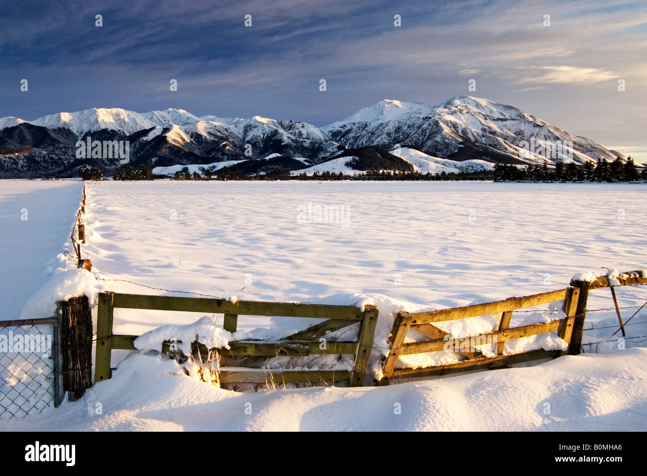 First sun of the day shines on this winter scene near Methven on the