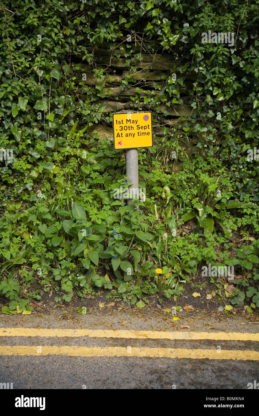 Parking restriction sign on rural Cornish lane Stock Photo - Alamy