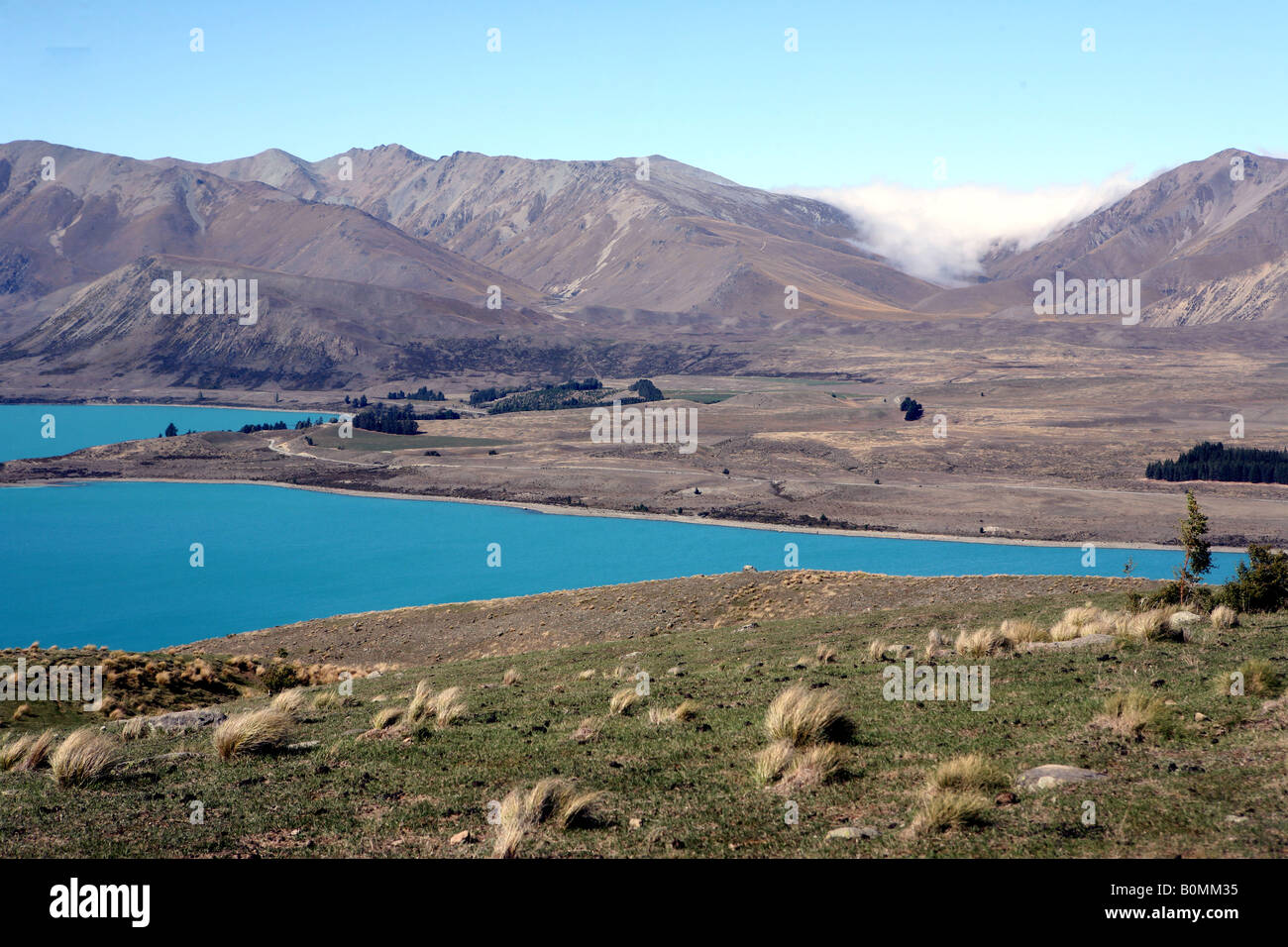 Lake Tekapo South Island New Zealand Stock Photo - Alamy