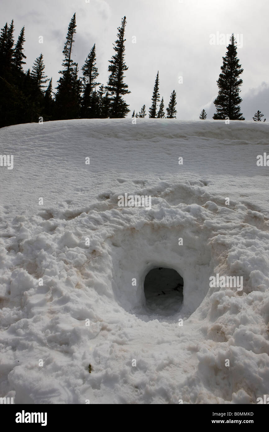 A snow cave shelter has been borrowed out of a snow bank at 11000 feet near Dream Lake Rocky Mountain National Park Colorado USA Stock Photo