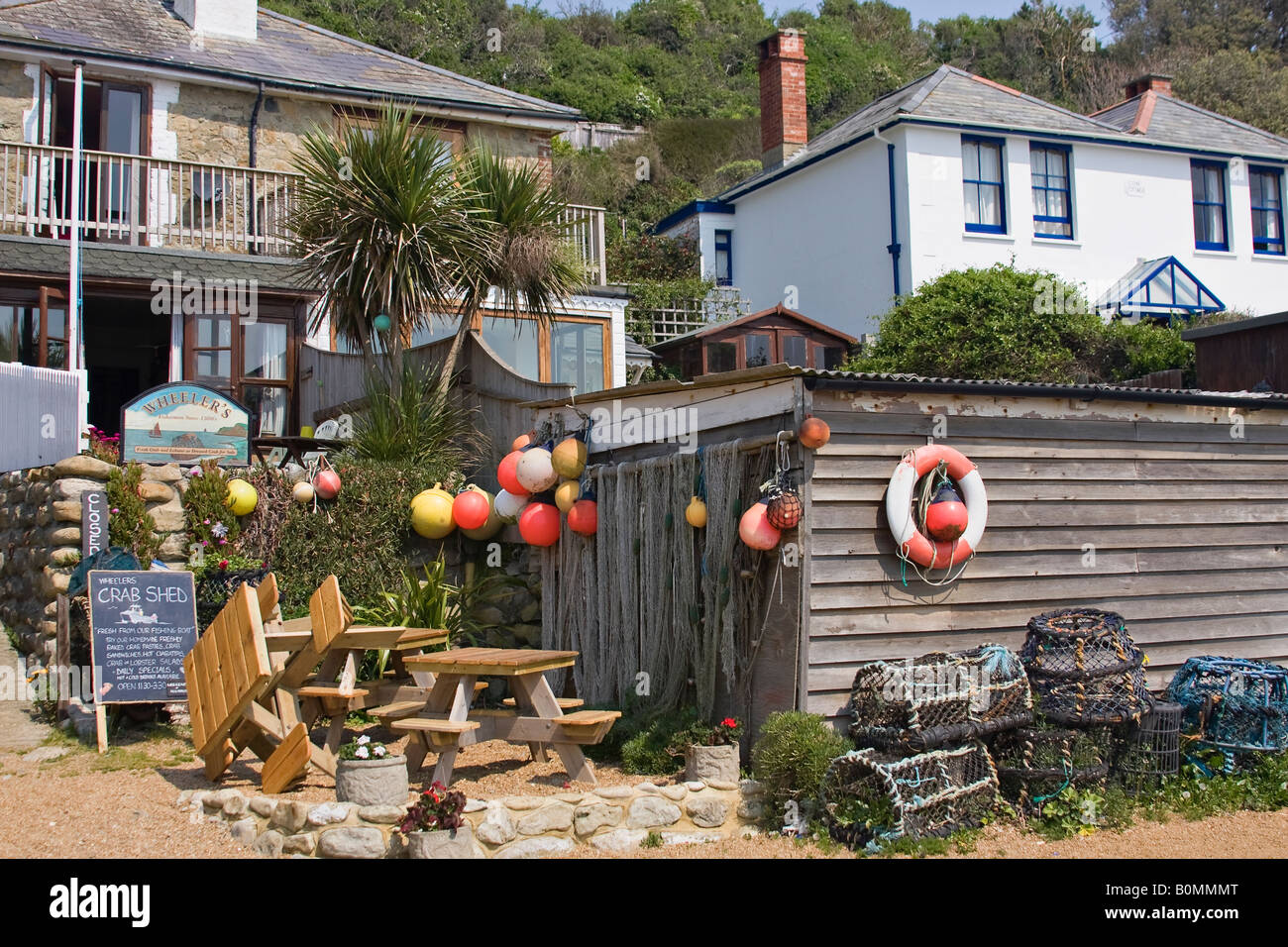 Springtime on the beach at Steephill Cove, Isle of Wight, England, UK Stock Photo