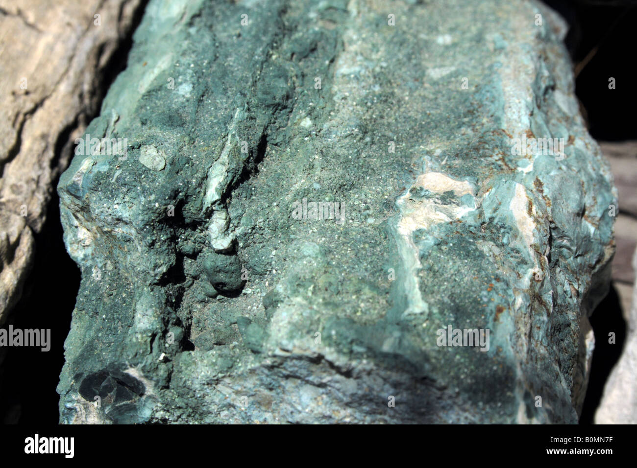 Green petrified wood Stock Photo Alamy