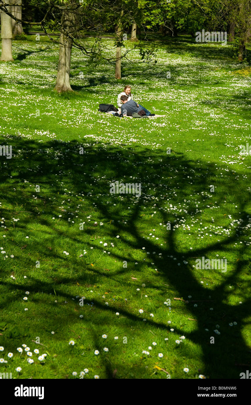 A couple enjoying a meadow filled with daisies at the National Botanic Gardens, Glasnevin, Dublin, Ireland Stock Photo