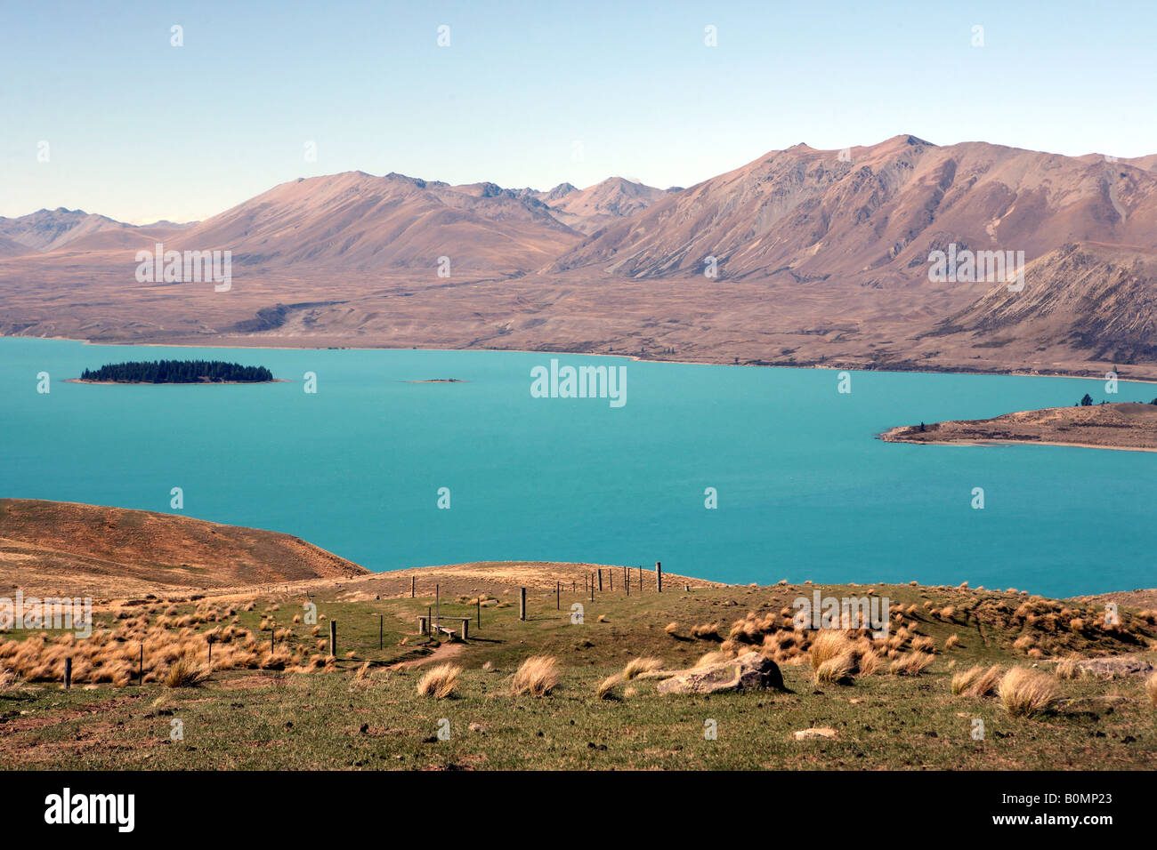 Lake Tekapo South Island New Zealand Stock Photo - Alamy