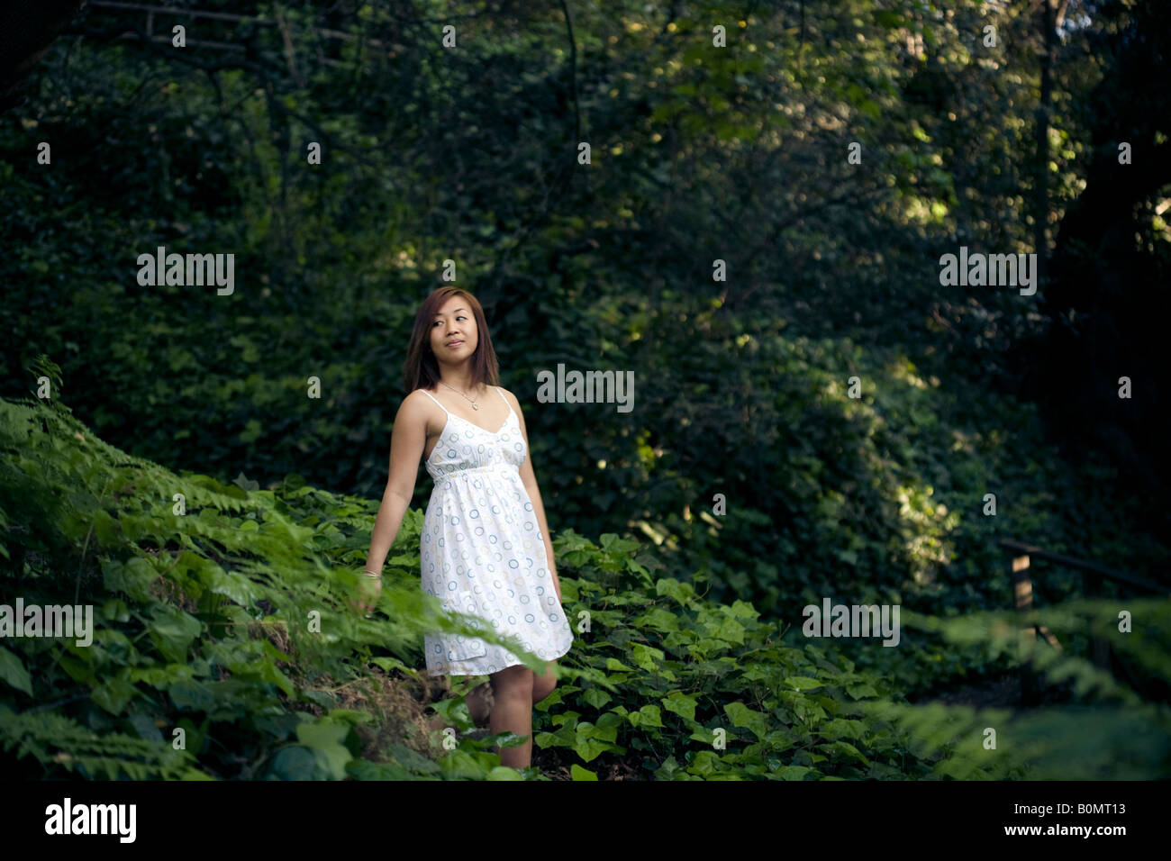 Young asian woman strolling through the woods Stock Photo - Alamy