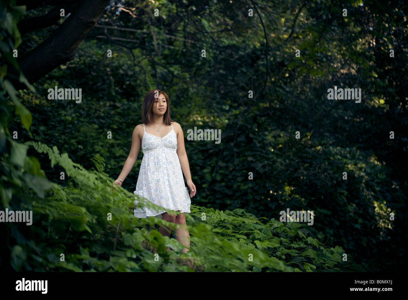 Young Asian woman strolling through the forest Stock Photo - Alamy