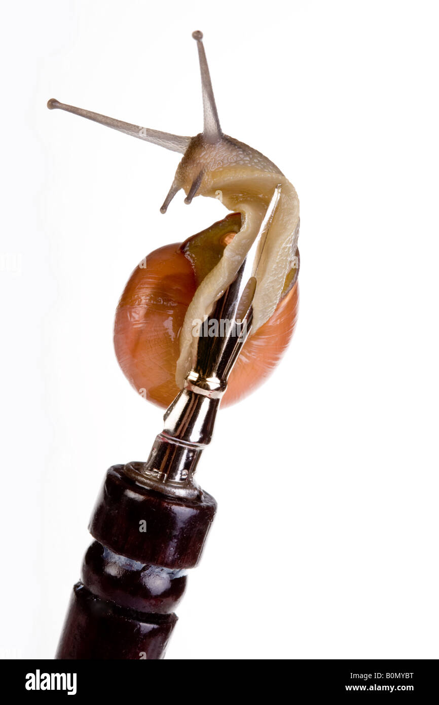 Funny pen hi-res stock photography and images - Alamy