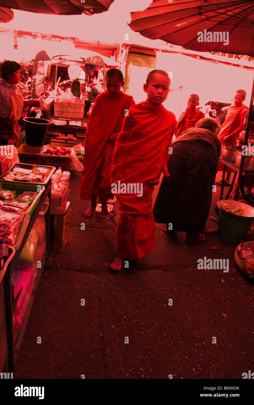 monks on there morning alms round, chiang rai Stock Photo - Alamy