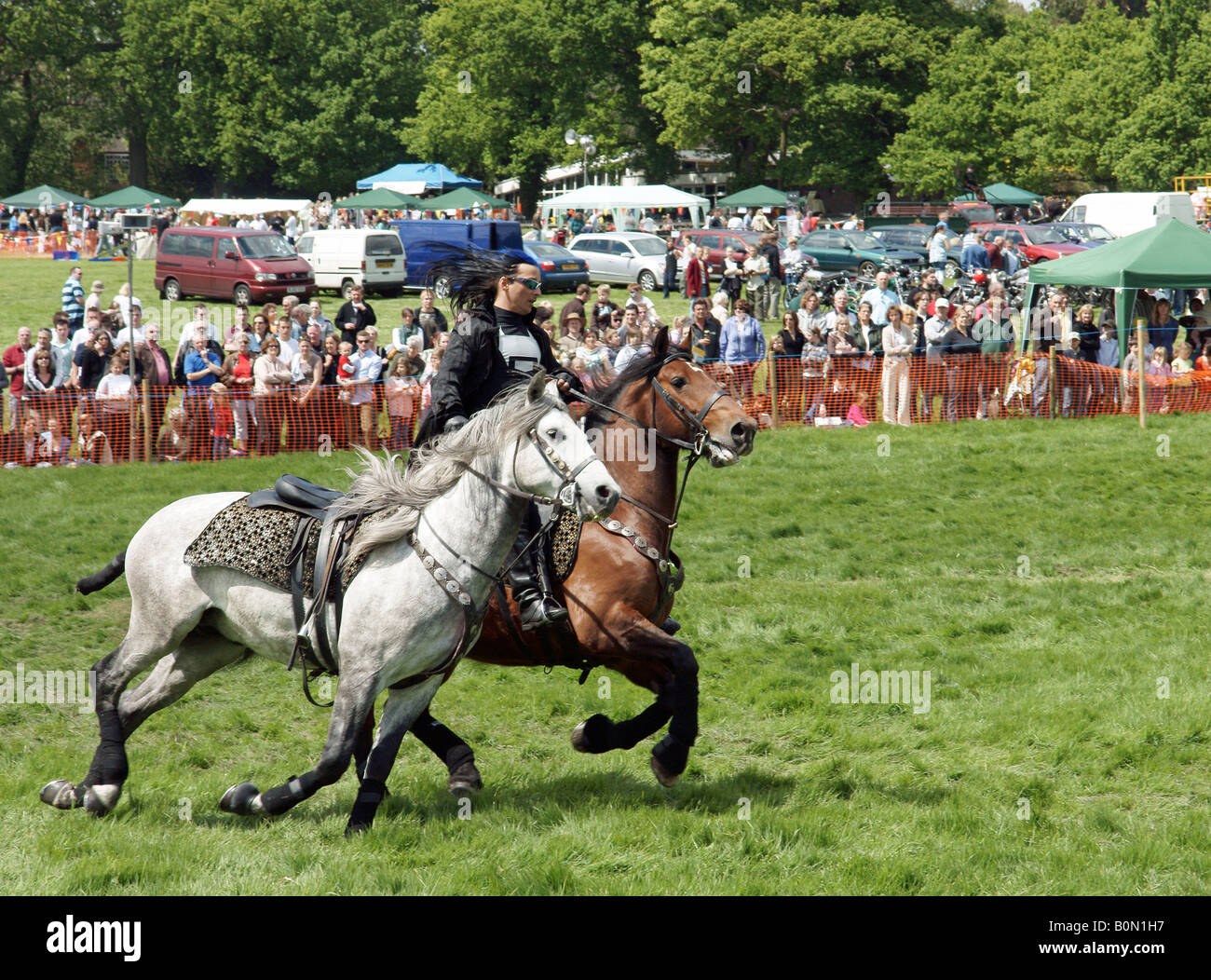 Rockin horse hires stock photography and images Alamy