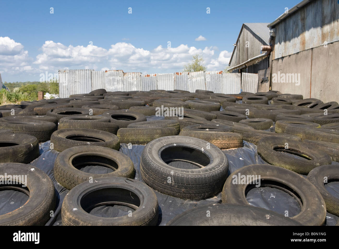 Tyres holding down polythene sheet on a silage pit on a small farm Stock Photo