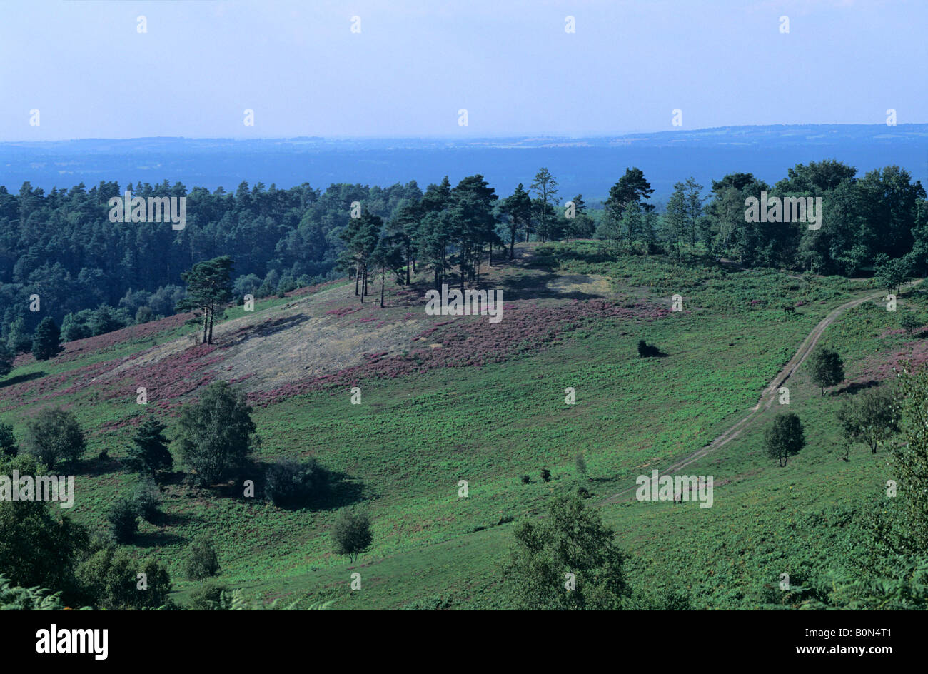 The Devil's Punch Bowl, Hindhead, Surrey, England, UK Stock Photo Alamy