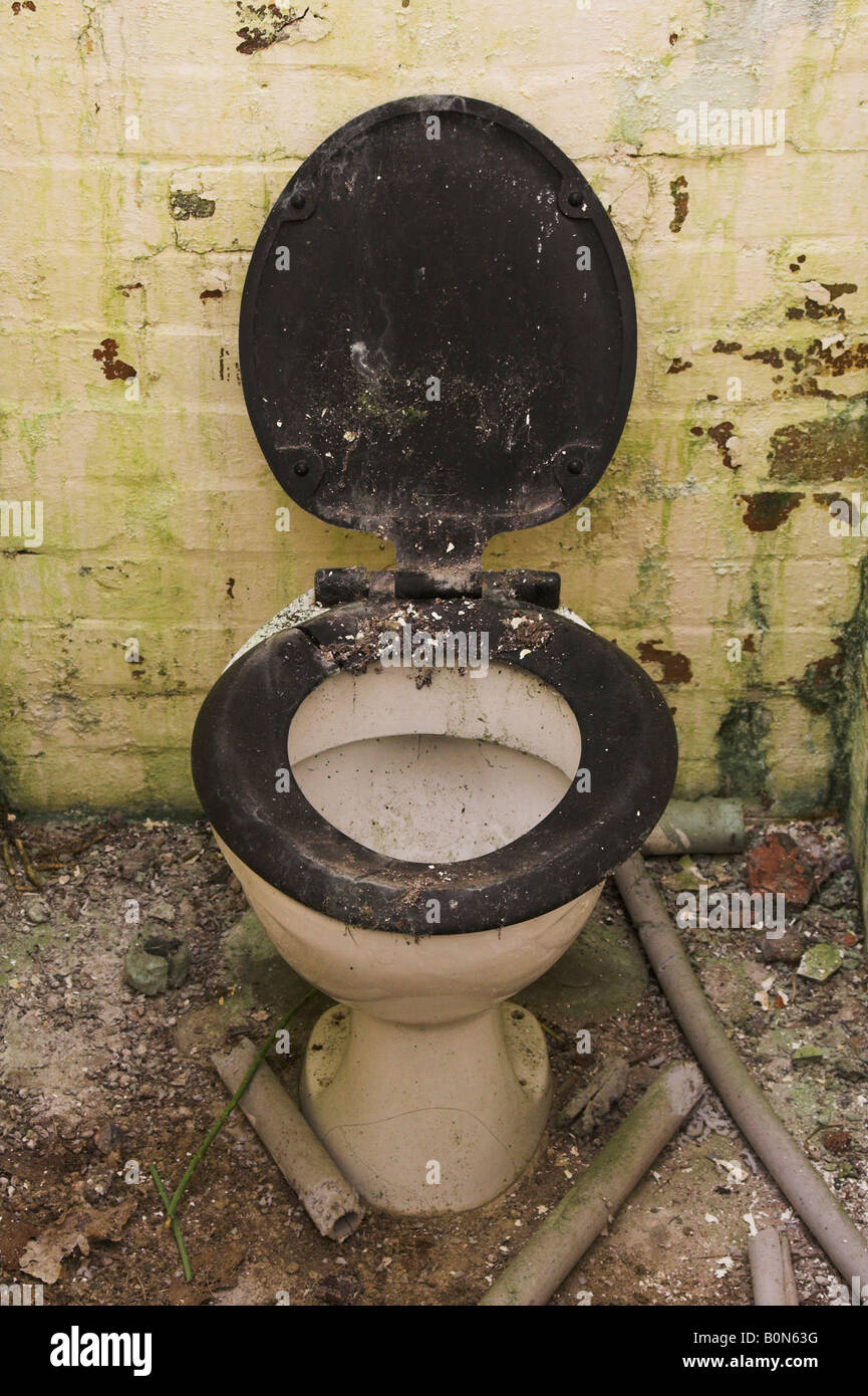 Old toilet in dilapidated lavatory building Stock Photo