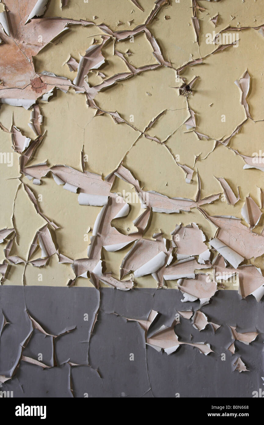 Close up of peeling paint on old plaster wall Stock Photo Alamy