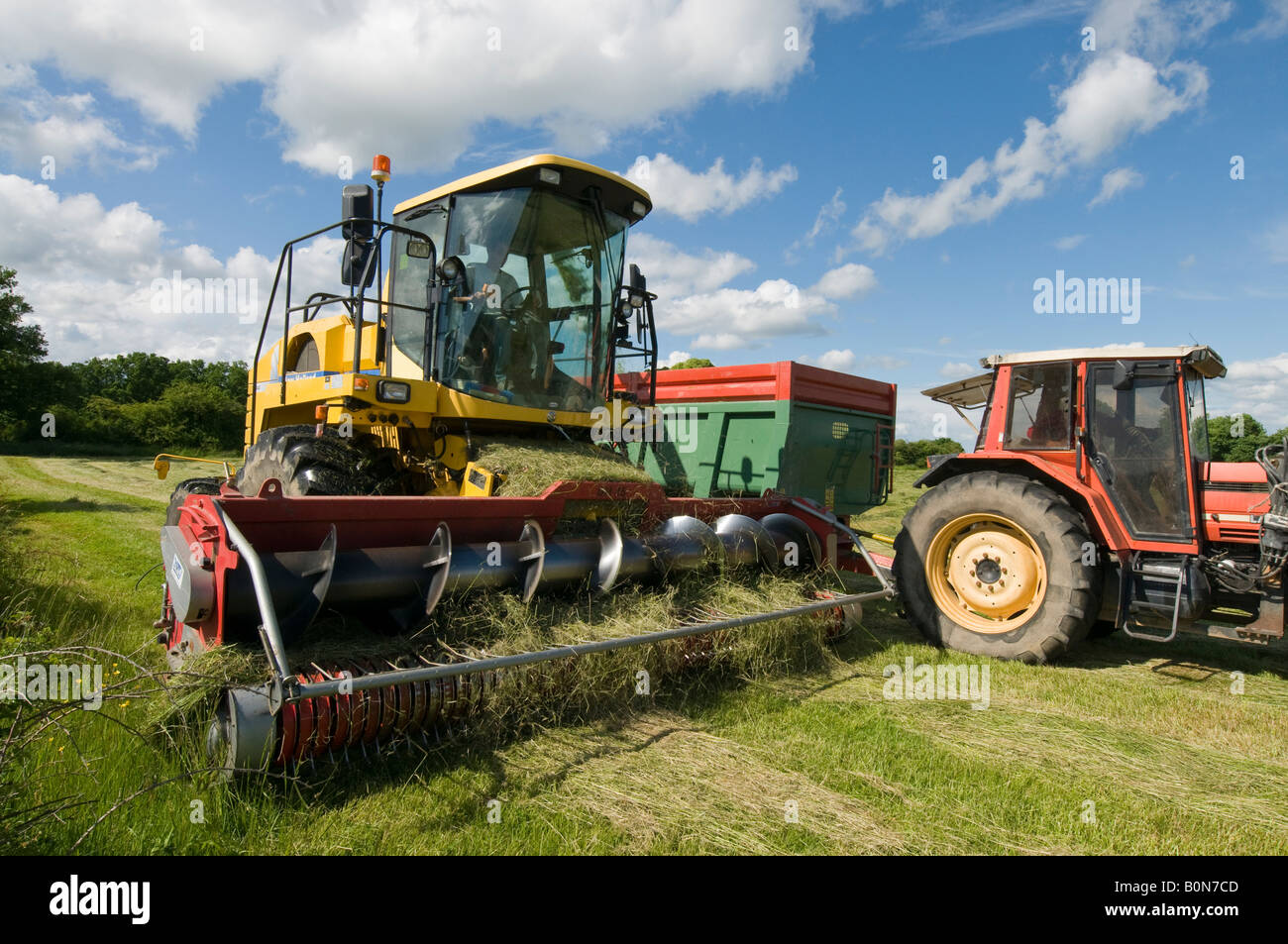 Silage collection - harvester, tractor and trailer, sud-Touraine, France. Stock Photo