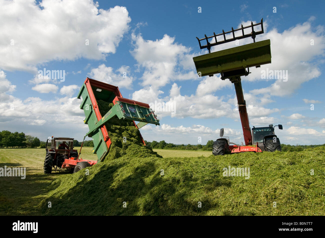 Silage collection - tractor, tipper trailer and grabber, sud-Touraine, France. Stock Photo