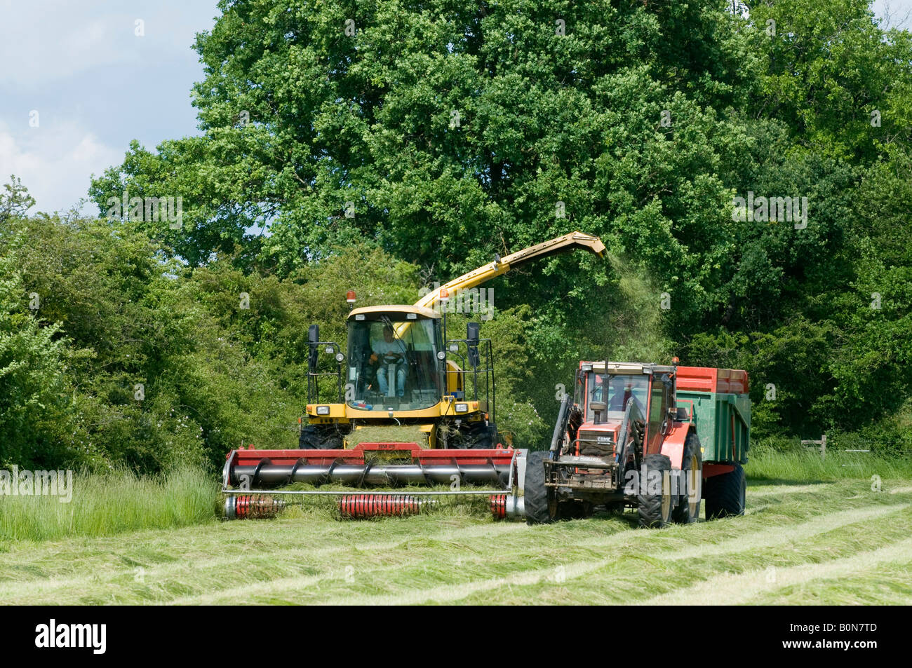 Silage collection - harvester, tractor and trailer, sud-Touraine, France. Stock Photo