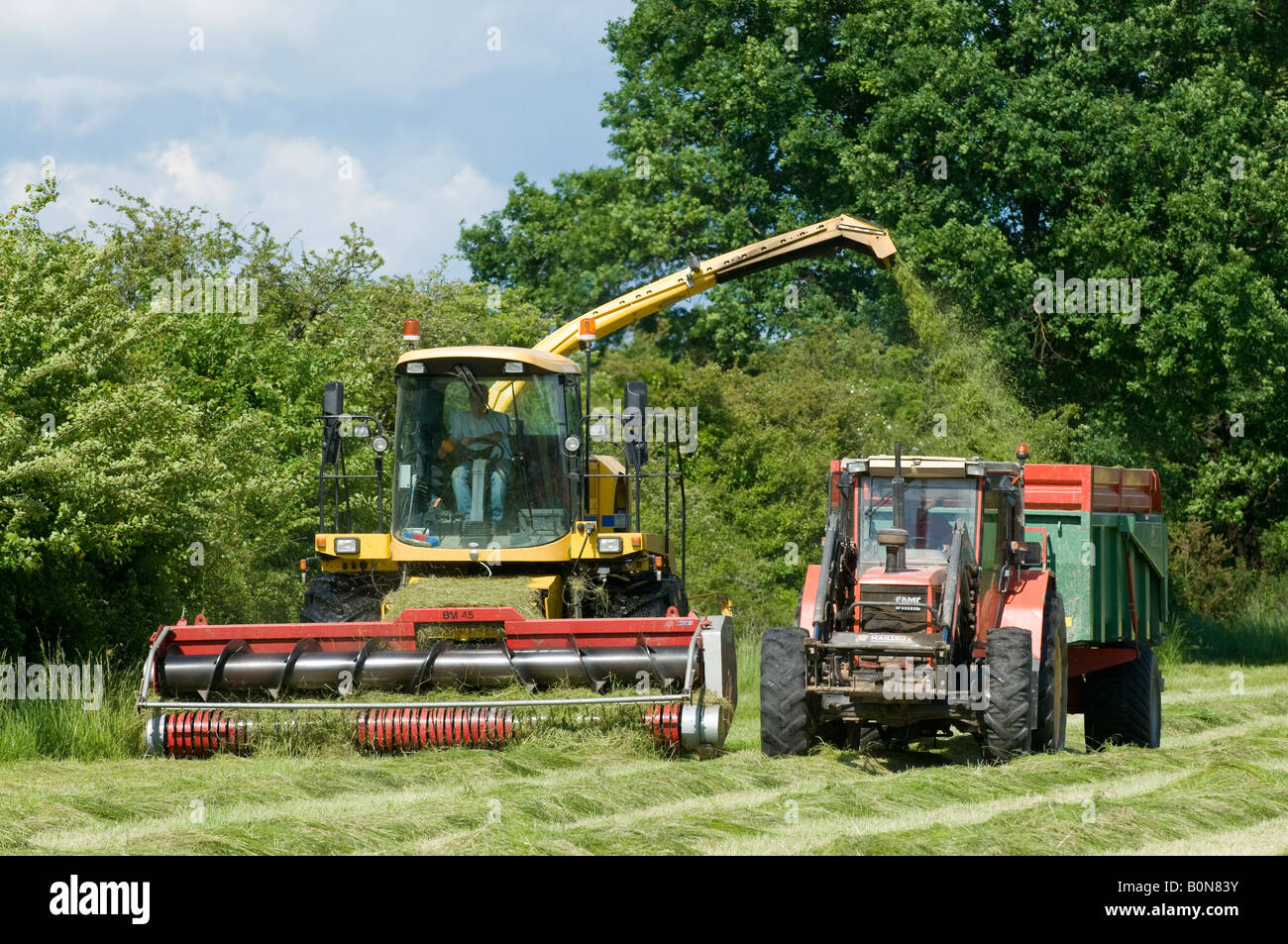 Silage collection - harvester, tractor and trailer, sud-Touraine, France. Stock Photo