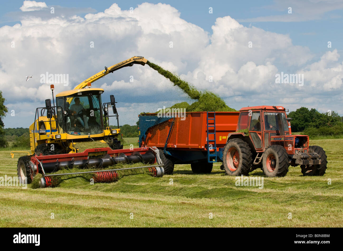 Silage collection - harvester, tractor and trailer, sud-Touraine, France  Stock Photo - Alamy