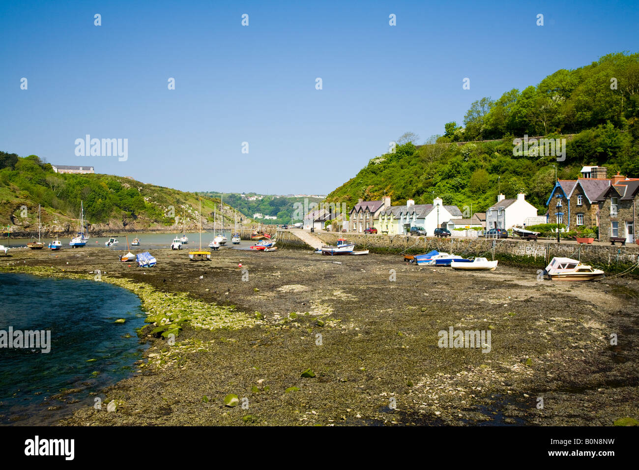 The old town harbour Fishguard Pembrokeshire at low tide Stock Photo