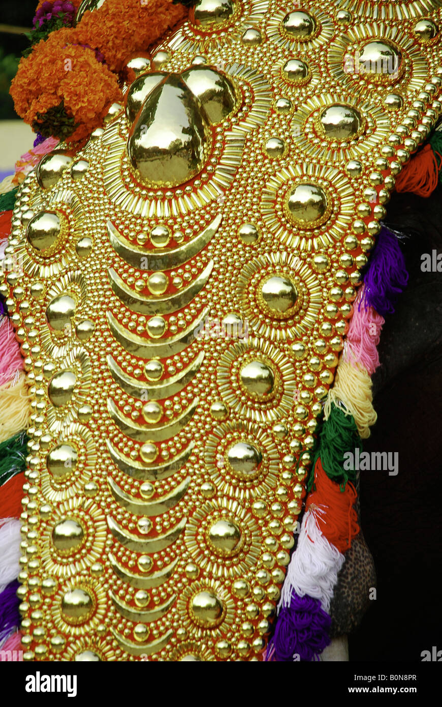 A decorated elephant during the Temple festival kerala India Stock Photo