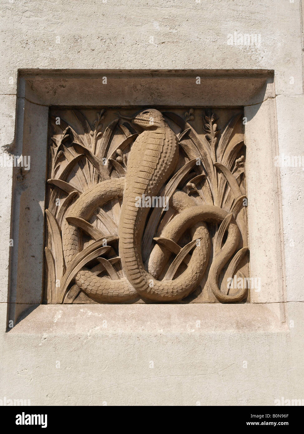 A stone carving of a primitive snake, Natural History Museum South Kensington London Stock Photo