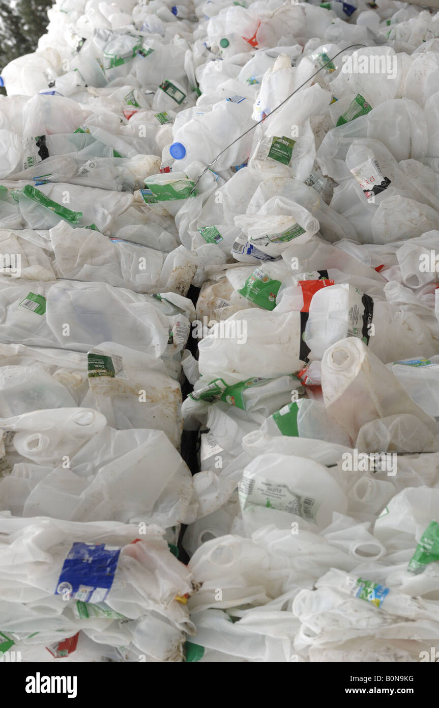 Plastic milk bottle recycling at Teignbridge district council recycling