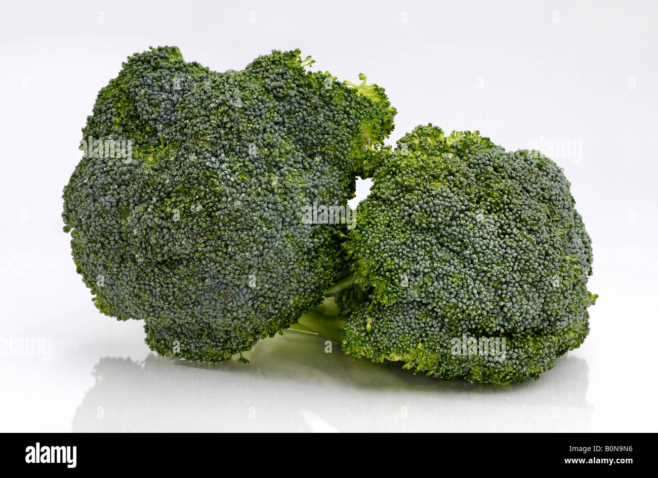Broccoli Stock Photo