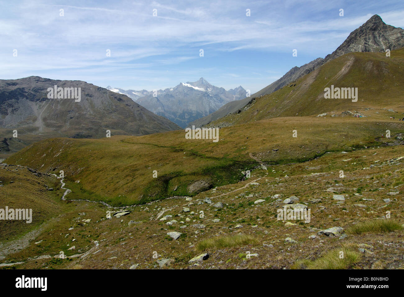 Monte Grivola metri 3969 ghiacciaio del Trajo prateria alpina montagna Cogne Valle d Aosta Italia Stock Photo