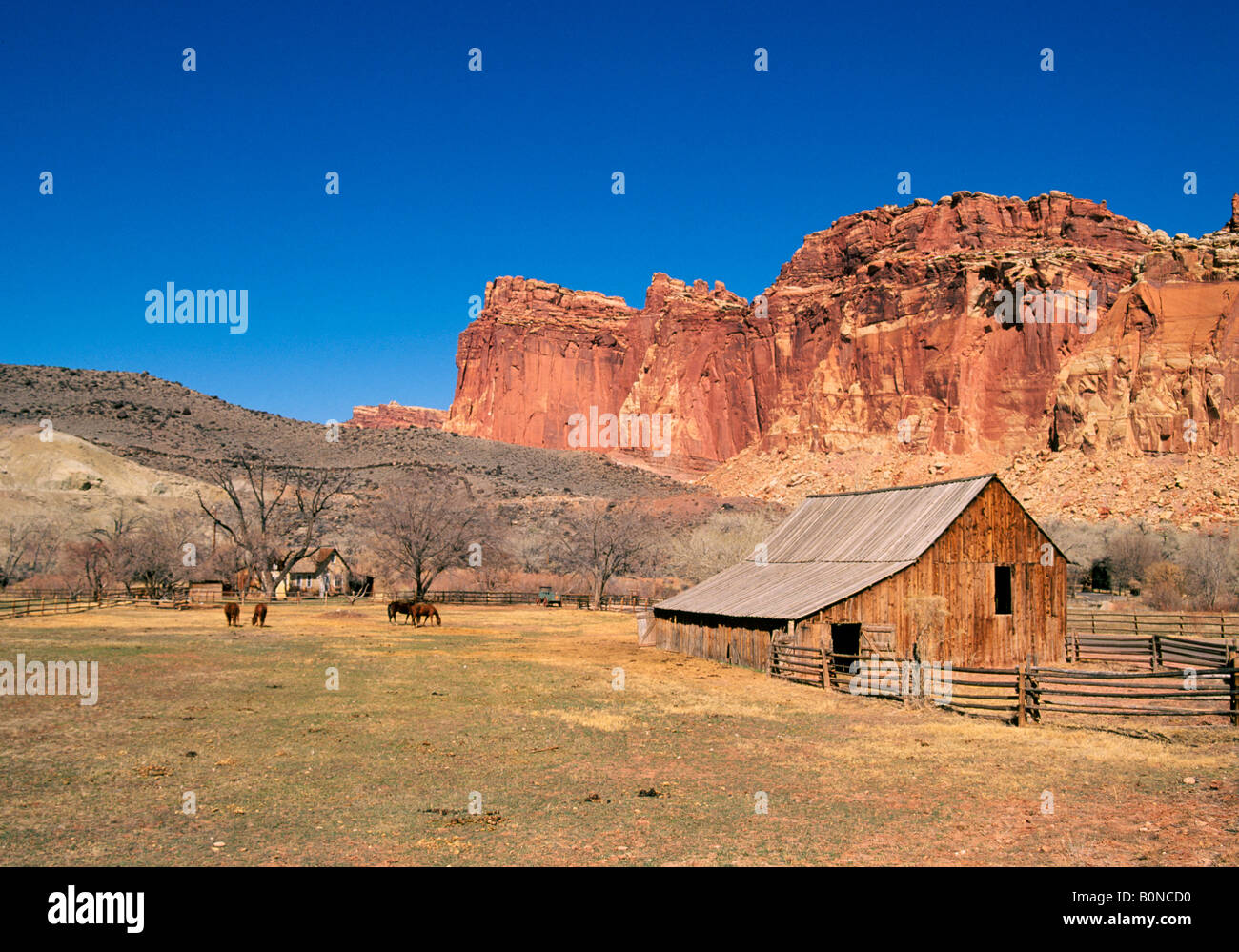 A view of the old Gifford Homestead an early Mormon farm in the Mormon settlement of Fruita in Capitol Reef National Park Stock Photo