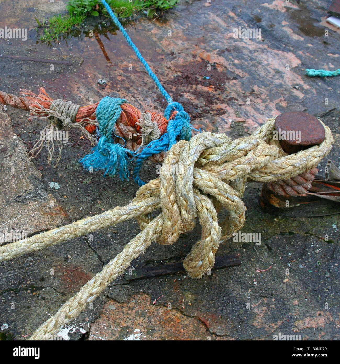 Knot for tying up a fishing boat to the wharf. West coast Norway Stock
