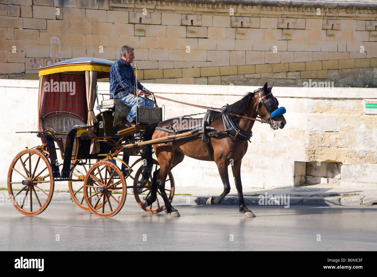 Valletta Malta Horse Carriage High Resolution Stock Photography and