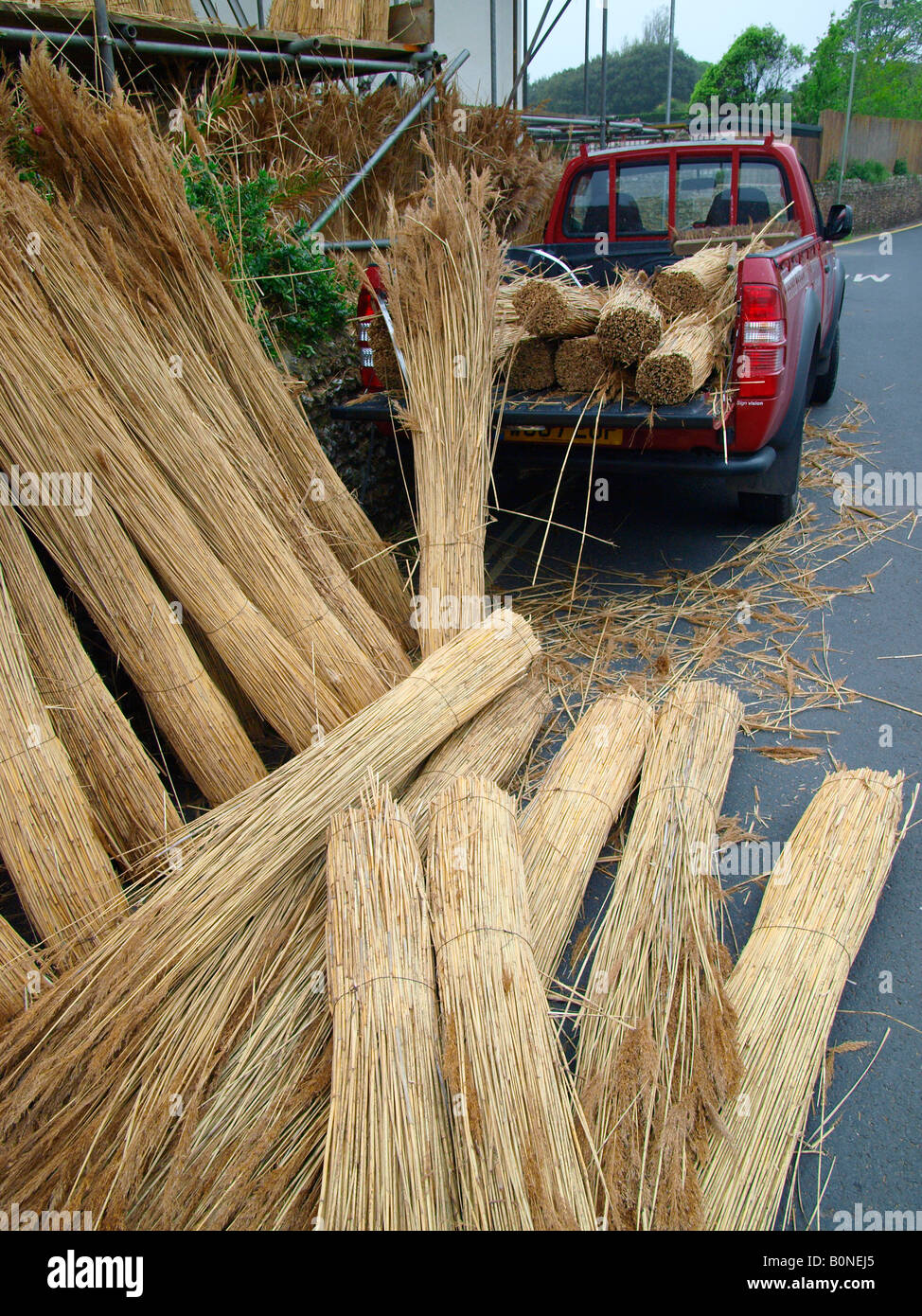 Thatching straw on van Stock Photo Alamy