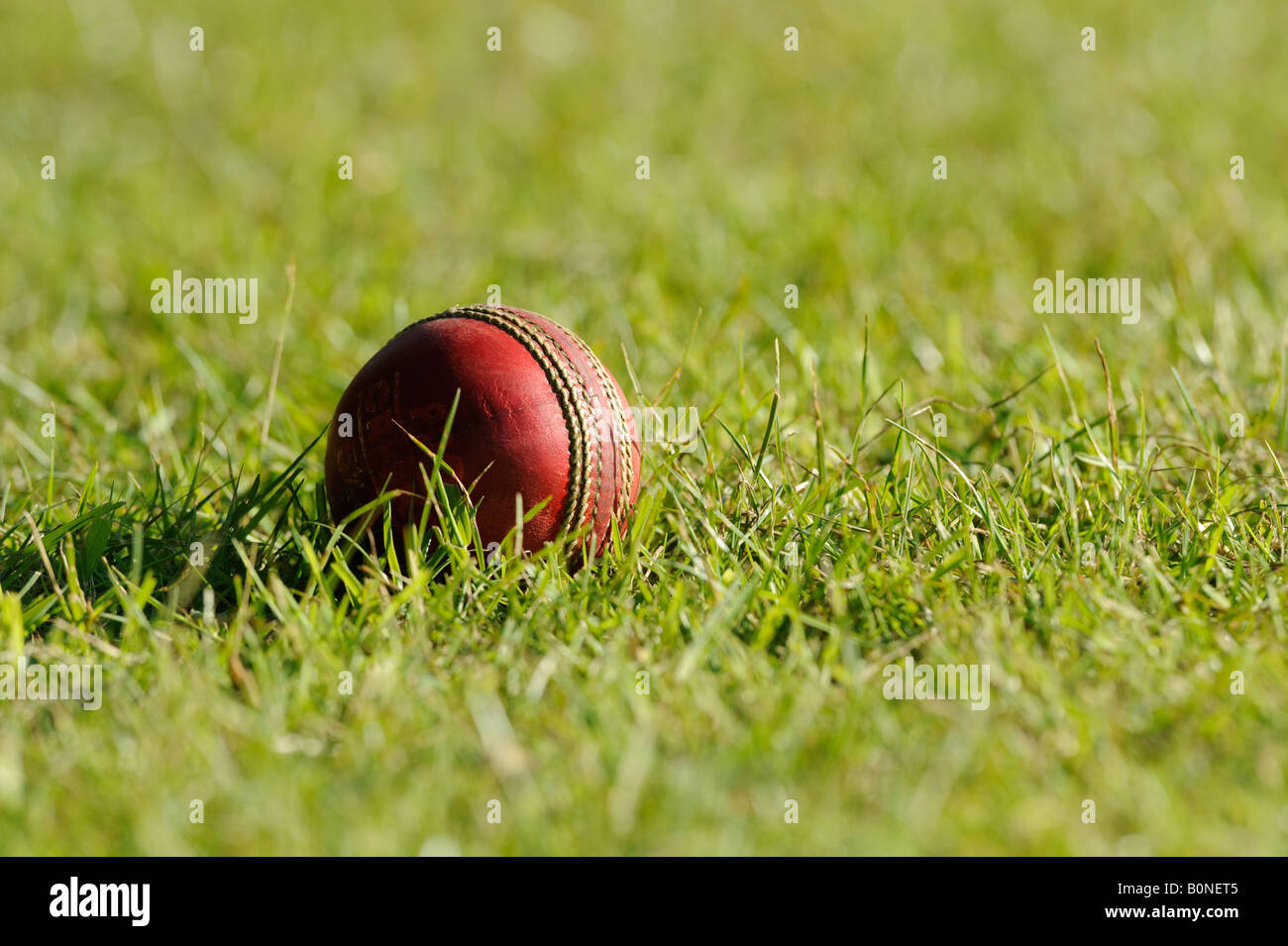 A cricket ball sitting in the grass on the outfield of a cricket ground