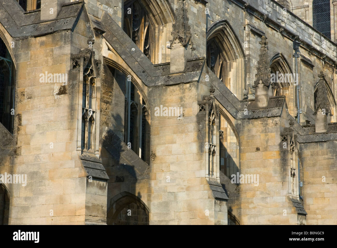 Winchester Cathedral, Winchester, Hampshire, England, UK. Stock Photo