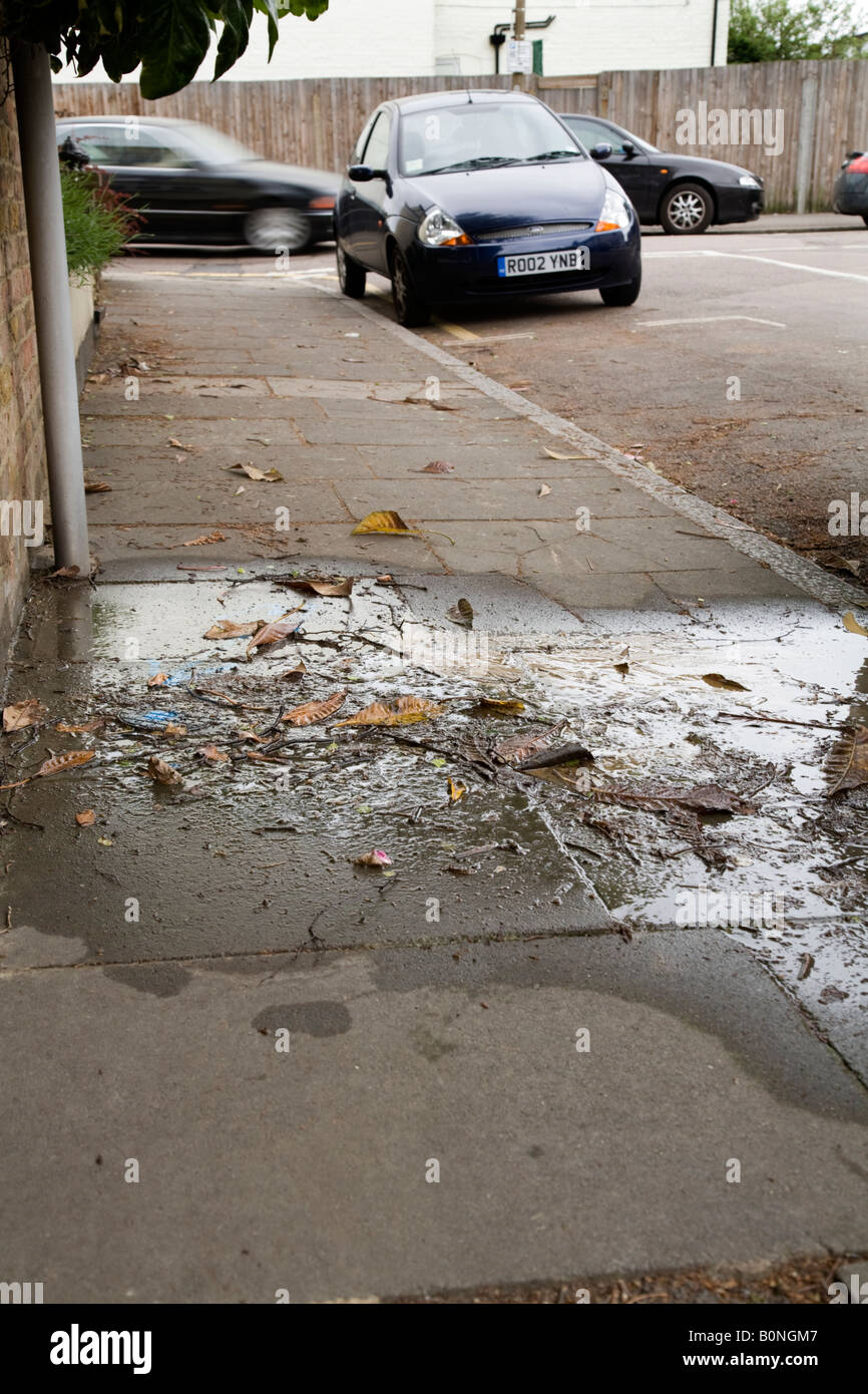 car leaking water when parked Soon Reddick